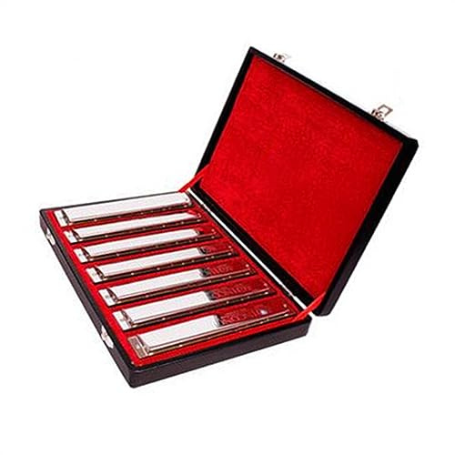 Silberfarbenes 7-teiliges Mundharmonika-Set, 24 Löcher, 7 Melodien, Tremolo-Harfe, Mit Geschenkbox Mundharmonika Musikinstrument