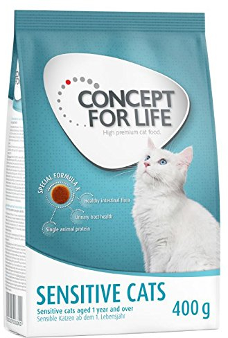 Concept für Life empfindliche Katzen. Eine Gesunde ausgewogenen Katzenfutter