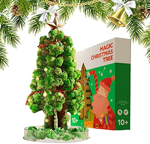 Wachsender Weihnachtsbaum - Magischer wachsender Weihnachtsbaum-Kristall - Tree Grow Crystal Garden Educational Craft and STEM Learning Guide, Arts and Crafts for Girls