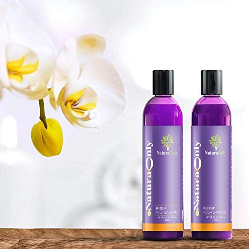Shampoo e Balsamo set Viola Dream – Idratante perfetto per i capelli trattati: biondi, platino, argento, grigi, decolorati e illuminati, con Aloe Vera - Toner per capelli biondi, grigi e decolorati.