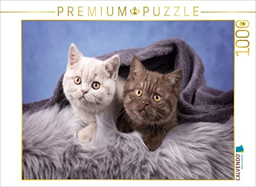 CALVENDO Puzzle Kleine Deckenkrabler | 1000 Teile Lege-Größe 64 x 48 cm Foto-Puzzle für glückliche Stunden