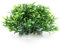 Aquarium Pflanzen Künstliche Kunststoff Aquarium Pflanzen Dekoration Ornamente, Realistische Pflanzen mit Ceraminc Basis