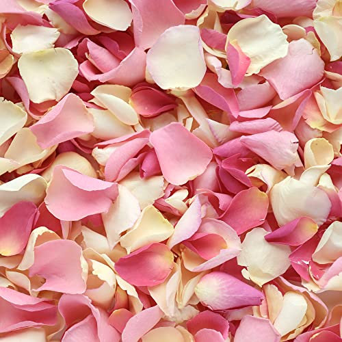 Petals and Roses Freeze Dried Rose Petal Confetti | Natural & Biodegradable for Weddings, Blushing Pink Mix, 2 Litres