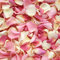 Petals and Roses Freeze Dried Rose Petal Confetti | Natural & Biodegradable for Weddings, Blushing Pink Mix, 2 Litres