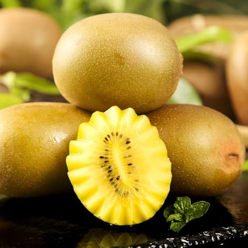 semillas de plantas de kiwi - Frutas exóticas, plantas resistentes para jardín. semillas de kiwis fruta columnar, de jardín semillas de frutas, plantas resistentes al exterior 550pcs