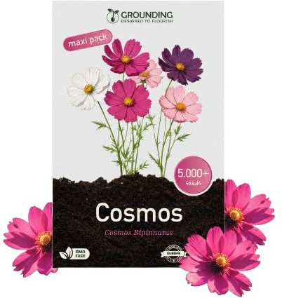 Grounding Maxi – Graines de Cosmos bipinnatus, Mélange, 5000+ | Fleurs Blanches, Roses et Fuchsia de 80-120 cm pour Massifs et Bouquets, Couvre 50 m², Qualité Européenne