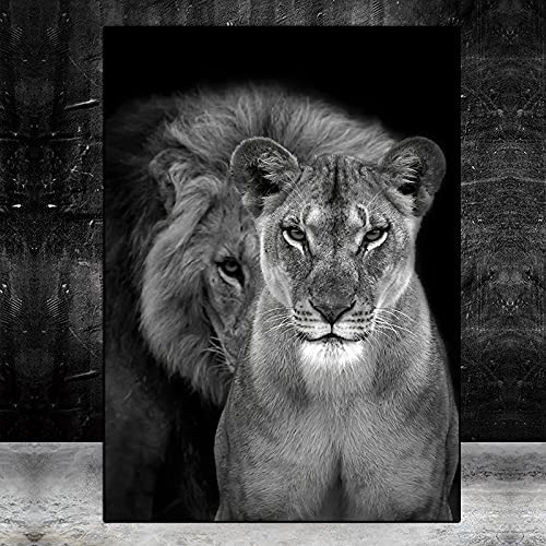 Dvbhd leinwand Bilder Gemälde EIN Löwe und Seine Löwin zusammen Leinwand Bild Moderne Gemälde Tier Poster und Kunstdrucke Wohnzimmer Wandbild Dekoration50x70cm x1 Rahmenlos