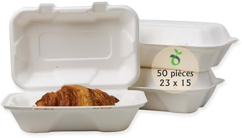ECOPICNIC 50 Stück Menübox 15x15x7cm mit Klappdeckel | quadratische Einweg Burgerboxen aus Zuckerrohr, to Go Bento Torten- und Kuchenbox