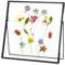 REDHUGO Cadre en verre pour fleurs pressées fait à la main, double cadre en verre, cadre de table, cadre photo simple en métal géométrique flottant en verre, carré, noir, 15,2 x 15,2 cm