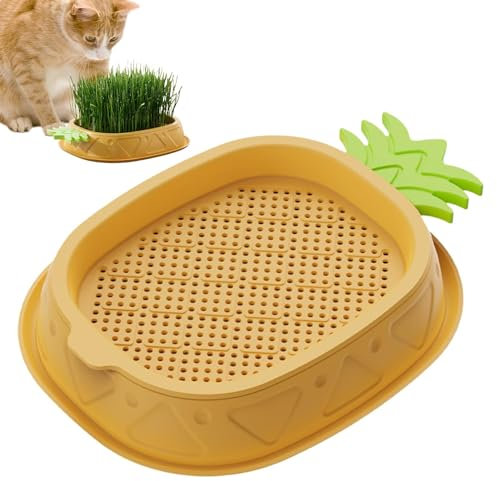 Meindin Maceta de Hierba para Gatos, Bandeja de Cultivo de Hierba para Gatos | Bandejas de plántulas y germinación con diseño de piña, Maceta de Hierba de Trigo, Tierra, Planta para Gatos de Interior