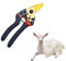 ZHHSUNY 7.5 Ciseaux à Sabots de Chèvre, Ciseaux à Ongles, Convient Pour Le Soin Des Sabots de Vache,Mouton,Chèvre, Plus Forte Charge de Ressort Pour Les Pinces à Ongles