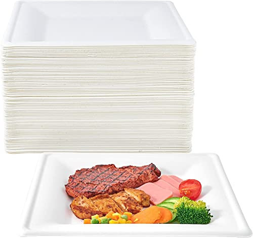 Disposable Square Paper Plates [26cm, 50 Pack] Large Heavy Duty Strong Party Plates for Hot Food Reusable Super Rigid Takeaway Bagasse Sugar Cane for Weddings, Christmas, Events - 26 cm (10 Inch)