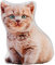 your castle Naturgetreue Junge Katze als 3D Deko - Kissen in Katzenform. Sofakissen ca. 40 x 32 cm