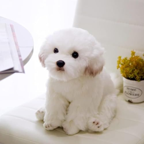 Ausgestopfter Hund Plüschtier Niedliche Simulation Haustiere Flauschige Puppen Geburtstagsgeschenke Für Kinder Bichon Frise Welpe Malteser, Maltese, M Size (1piece)