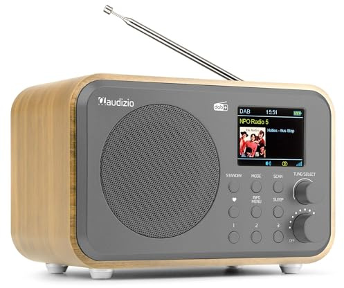 Audizio Milan Radio Dab+ FM Portable Bluetooth Batterie Intégrée Bambou | Écoute Radio Nomade en DAB+ et FM, Connexion Bluetooth, Autonomie Batterie Intégrée, Usage Maison et Déplacement Facile