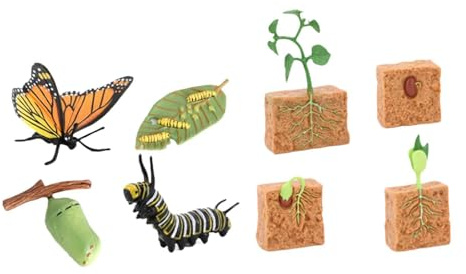 AMSLSIU Schmetterlings Lebenszyklus Modellfiguren Set zum Thema Pflanzenlebenszyklus – vielseitig einsetzbar als Dekoration für Zuhause und als Lehrmittel. Auch Geschenkidee geeignet. Enthält 2 Sets