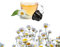 Capsules Camomilla compatibles Nescafè Dolce Gusto (32 Capsules)