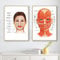 Gesichtsarterie Muskel-Leinwand - Wandkunst für Gesichts-Anatomie und Gefäße - Poster für Krankenhaus, Klinik, Dekoration, Arztkunstwerk - 40.6x61x61 cm, Ohne Rahmen