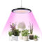 DIKHEE LED Grow Lights, 150W Full Spectrum Plant Growing Lamps for Indoor Plants, Hanging Grow Light with Plug and 1 Meter Iron Chain, Plant Grow Lights for Seedling, Flowering, Fruiting（NO Plug）