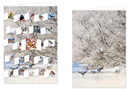 RASW053 - Den Wintervögeln auf der Spur Adventskalender-Doppelkarte - 12,5 x 18,5 cm mit hochwertigem Kuvert
