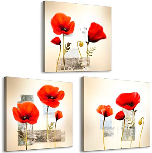 decomonkey Bilder Set Mohnblumen 90x30 cm 3 Teilig Wandbild Groß Leinwandbild XXL Deko Wohnzimmer Schlafzimmer Büro Wanddeko Leinwand Pictures For Wall Poster Wall Painting Blumen Abstrakt