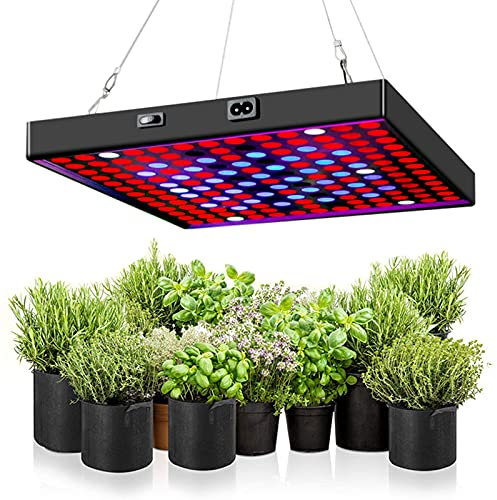 ZXNQ Lampade per Piante 50W Lampada Crescita, Coltivazione Indoor Daisy Chain per Grow Box Idroponica Kit Serra Interno - 169 LED