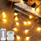 JOJOlife Catena Luminosa, 6.3 m/40 LED, Alimentazione a Batteria, 8 Modelli, Controllo del Pulsante o del Telecomando, Adatto per Interno, Stanza, Natale, Esterno, Giardino, Festa, Matrimonio