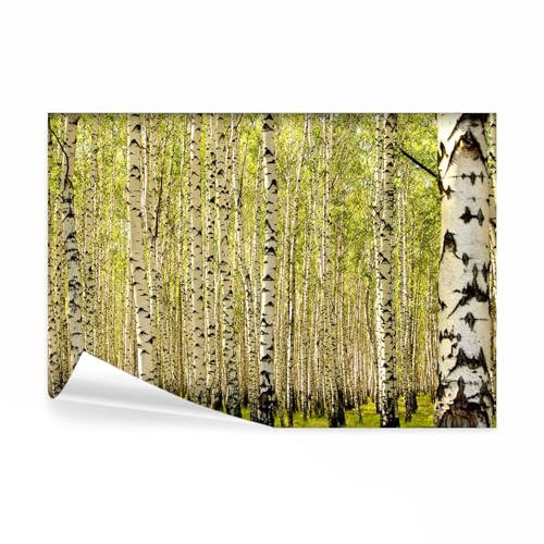 decomonkey Fototapete Wald, 400x280 cm, XXL, Natur Baum, Tapete, Wandbild | Bild, Fototapeten, Tapeten, Wandtapete