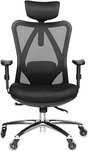 Duramont Ergonomic Office Chair with Lumbar Support, Heavy Duty Executive Desk Chair for Neck & Back Support, High Back, Mesh & Reclining - Fully Adjustable (Black)