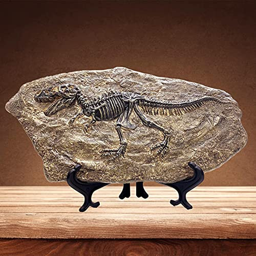 XINDAM Harz Tyrannosaurus Rex Dinosaurier Fossil Statue Modell Simuliertes Skelett Home Office Display Dekorative Handwerk Box Dekoration (Stil 5)