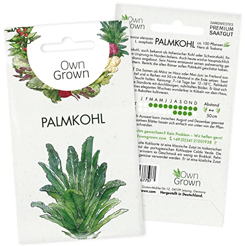 Palmkohl Samen: Premium Palmkohl Saatgut zur Anzucht von 100 Nero di Toskana Palmkohl Pflanzen – Alte Gemüsesorten Samen für den Garten – Wintergemüse Samen – Kohl Samen Gemüse, Gemüsesamen OwnGrown
