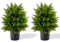 COSTWAY 2 Set Artificial Cypress Topiary Ball Tree, 50CM Artificial Cedar Plants with Cement Pot, Indoor Outdoor Decorative Fake Greenery Potted Bonsai for Home Office
