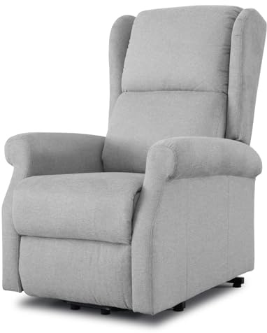 EVERGREENWEB - Poltrona Relax Elettrica con Sistema Alzapersona per Anziani con Bottone, Poltrona Reclinabile con Braccioli, Seduta Ergonomica in Tessuto Grigio, per arredo Salotto Soggiorno Ufficio