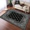 JHUHN Mehrfarbiger Bandana-Muster Teppiche Teppichläufer Waschraum Bodenmatte Teppiche für Schlafzimmer Wohnzimmer 50 × 80 cm