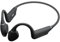 ESC Sounds Endurance Swimming Bone Conduction Headphones, IPX8 Waterproof, Bluetooth 5.3, 8GB MP3 Storage (3000 Songs) Open-Ear Design, Swimming, Triathlon, Running, Black. (Standard)