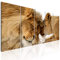 decomonkey Bilder Löwe 225x90 cm 5 Teilig Leinwandbilder Bild auf Leinwand Wandbild Kunstdruck Wanddeko Wand Wohnzimmer Wanddekoration Deko Tiere Afrika Katze braun