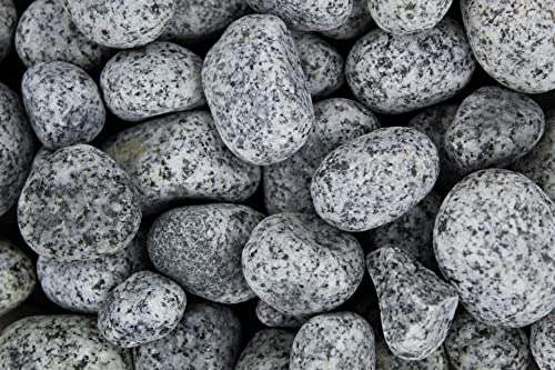 Gartenwelt Riegelsberger 5 kg Gletscher Kies Royal gewaschen Körnung 25-40 mm Marmorkies Granit Royal Marmor Kieselsteine Zierkies Steine Deko Garten