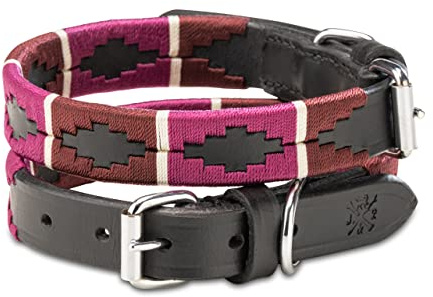 Jack & Russell Hundehalsband Leder – Polo Design, handgefertigt & verstellbar – Premium Lederhalsband für kleine & große Hunde, Pablo (M (31,5-42,0cm)