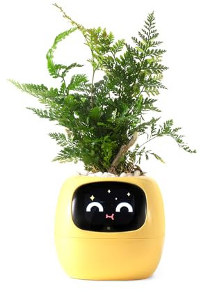 PLANTSIO Robot intelligente per piante con emoji per la cura delle piante, incantevole compagno di piante con interazione gestuale, vaso da giardino come regalo per la scrivania (giallo)