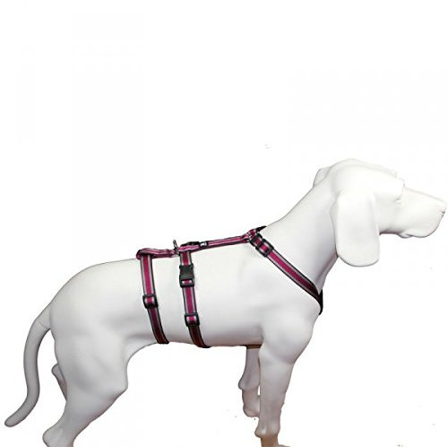 Hoffmann No Exit ausbruchsicheres Hundegeschirr für Angsthund, Sicherheitsgeschirr für Pflegehund, Panikgeschirr, Pflaume Muster, Bauchumfang 50-65 cm, 20 mm Bandbreite