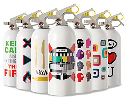 EXTINGUA Estintore Casa Omologato ABF 1 kg Estintore Schiuma Presa Antipanico Regalo Uomo Donna per Uso Domestico, Cucina, Auto, Barca, Mini Estintore per Interni, 1 pz