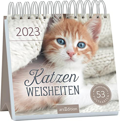 Postkartenkalender Katzenweisheiten 2023: Dekorativer Tischkalender für Katzenfans