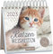 Postkartenkalender Katzenweisheiten 2023: Dekorativer Tischkalender für Katzenfans