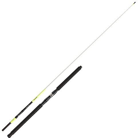 Daiwa Seal. X't. Itl 2.35m 30-50lb Meeresrute