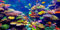 MIRRORANG 120x50cm Aquarium Hintergrund Koralle Tropische Fische Unterwasserwelt Aquarium Hintergrund Langlebig Vinyl Hintergrund Dekoration
