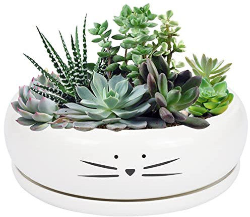 Koolkatkoo - Maceta de cerámica con platillo extraíble, diseño de gato, color blanco