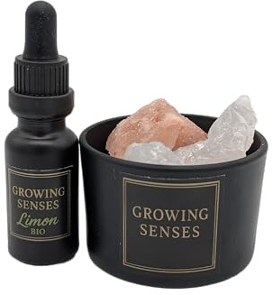 Generisch Raumduft-Set – Bio Zitronenöl & Salzsteinemischung im Glas – Edler Duft-Diffusor als Lufterfrischer für Badezimmer, Wohnzimmer & Büro – Growing Senses