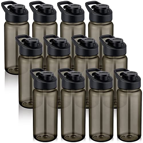 12 Pcs Plastic Sports Bottles 17 oz Reusable Water Bottles Bulk Portable Sports Drink Bottles Cups Pack Bike Water Bottles with Handle for Kids Adult School Teams Gym Hike Camping Cycling (Grey)