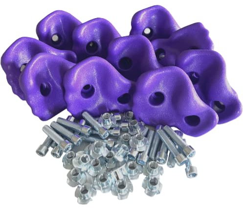 10er Set Klettersteine lila Kinder Klettergriffe Bouldergriffe Kletterwand Boulderwand
