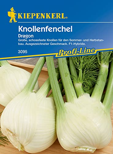 Kiepenkerl 3095 Knollenfenchel Dragon F1, große schossfeste Knollen für den Sommer- und Herbstanbau, ausgezeichneter Geschmack